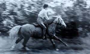 Aart Klein - foto: meisje op paard verkocht voor € 49!