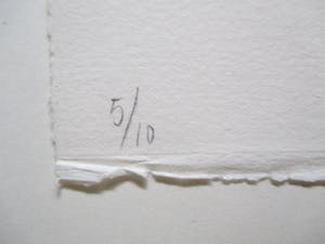 Sandra Kruisbrink - Zeefdruk kleine oplage kopen? Bied vanaf 45!