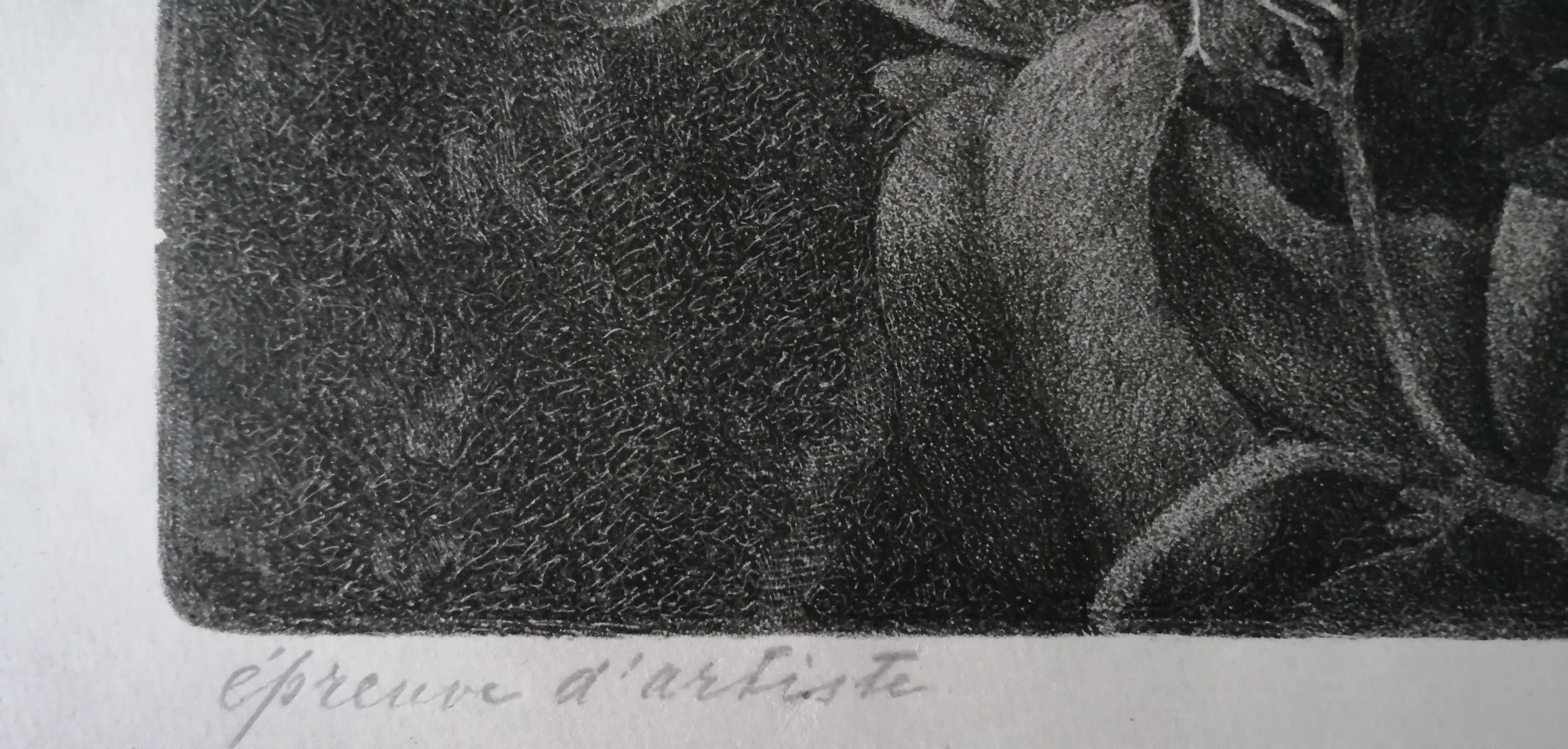 Johan Philip Christiaan Benner - Orchideeën in de nacht kopen? Bied vanaf 25!