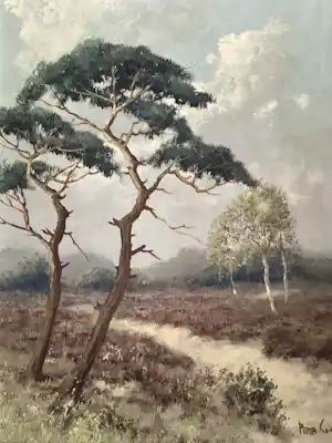 Peter Cox - Heide landschap verkauft für € 100!