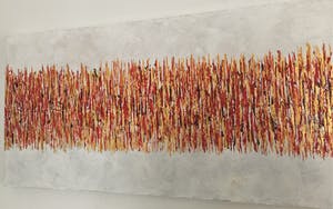 John Foppen - Rapsody In Gold + Red. ...... # K 04 . XL. GROOT. kopen? Bied vanaf 179!