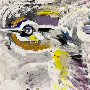 Nico Molenkamp - Vogel kopen? Bied vanaf 38!