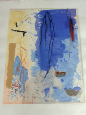 Peter Schenk - Prachtig groot mooie zeefdruk werk uit 1999 kopen? Bied vanaf 90!