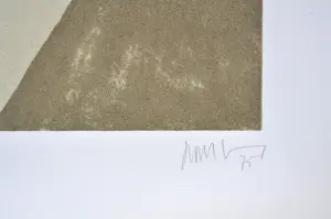 Dan Van Severen - Lithografie, 70x50 cm, gesigneerd, 1975 kopen? Bied vanaf 180!