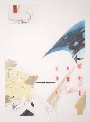 Trees Klijn - Ets, Cocodreams and female blues III kopen? Bied vanaf 1!