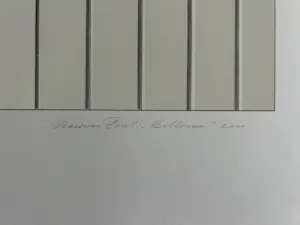 Marinus Fuit - Ballonnen kopen? Bied vanaf 100!