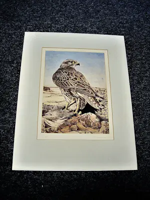 Timothy John Greenwood - gelauwerde Brits graficus - "Havik en prooi" - ETS & aquatint - oplage 100 kopen? Bied vanaf 42!