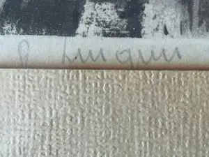 Ferdinand Luigini - Publié par l'Estampe Moderne , 14 rue de Richelieu, Paris, 1928 kopen? Bied vanaf 35!