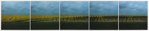 Ger Dekkers - Fotocollage, Field of cole-seed, Flevoland - Ingelijst kopen? Bied vanaf 35!