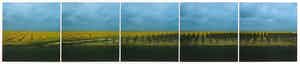 Ger Dekkers - Fotocollage, Field of cole-seed, Flevoland - Ingelijst verkocht voor € 35!