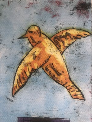 Eliza Kopec - The emotional birds kopen? Bied vanaf 45!