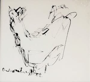 Anton Heyboer - Kip 1998 kopen? Bied vanaf 140!