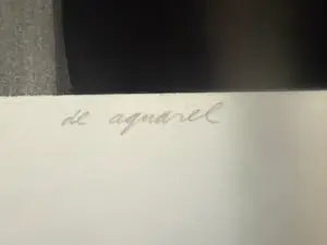 Jeroen Henneman - de aquarel kopen? Bied vanaf 60!