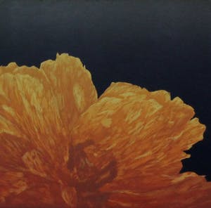 Hans Dolieslager - Zeefdruk: Dutch glory III - 2001 (keurige lijst!) kopen? Bied vanaf 55!