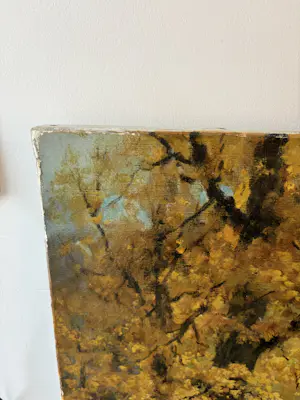 Robert Wood - Forest kopen? Bied vanaf 20!