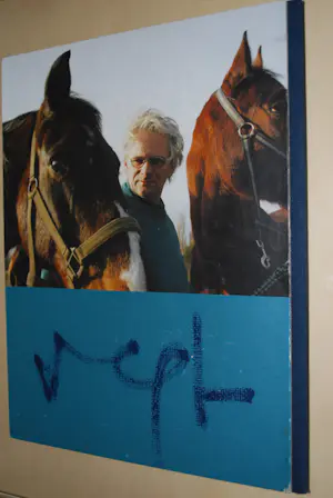 Henny van der Vegt - 2x hardcover: Flowering Beauties IV en V (=gesigneerd, incl. film op CD) kopen? Bied vanaf 50!