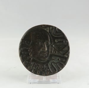 Christina Nijland - Bronzen penning, Linnaeus kopen? Bied vanaf 35!
