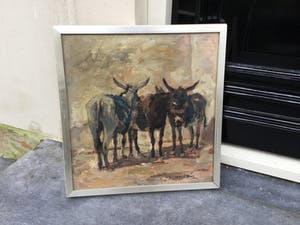 Jan Groenestein - C4573 - Ezeltjes kopen? Bied vanaf 350!