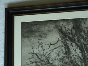 Wim Steijn - Ingelijste ets , Bos bij Haarlem – 1974 – Lijst, 37½ x 45½ cm. kopen? Bied vanaf 60!