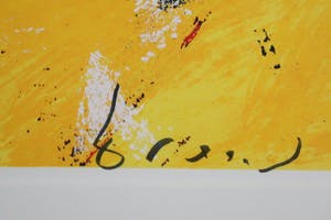 Herman Brood - Formule 1 - V12 kopen? Bied vanaf 395!