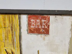 Niet of onleesbaar gesigneerd - Ezel bij bar kopen? Bied vanaf 10!