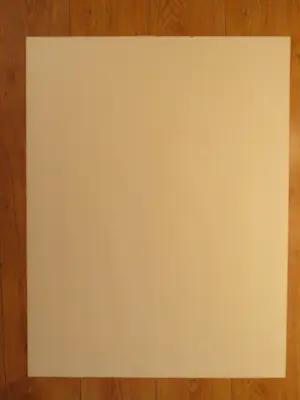 Jan van Diemen - IJshockey kopen? Bied vanaf 30!