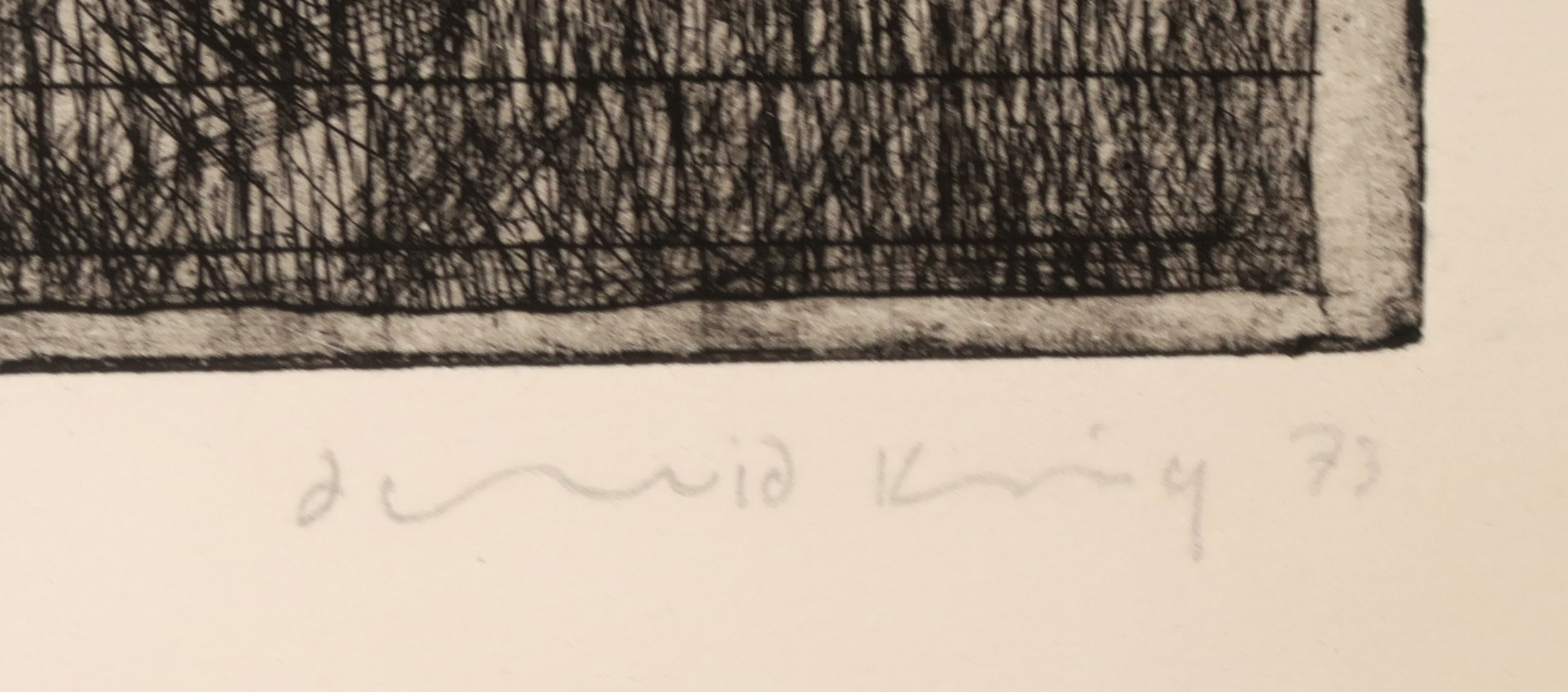 David King - Ets, The world of the bird kopen? Bied vanaf 1!