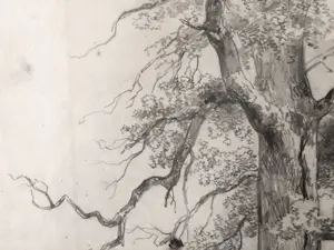 Willem Roelofs - Studie van een eik (Frankrijk 1848) kopen? Bied vanaf 100!