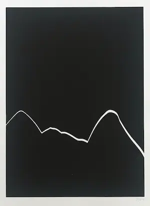 Harry van Kuyk - Lot van 2 zeefdrukken - 1976 - "Grafinu" - 71/250 kopen? Bied vanaf 55!