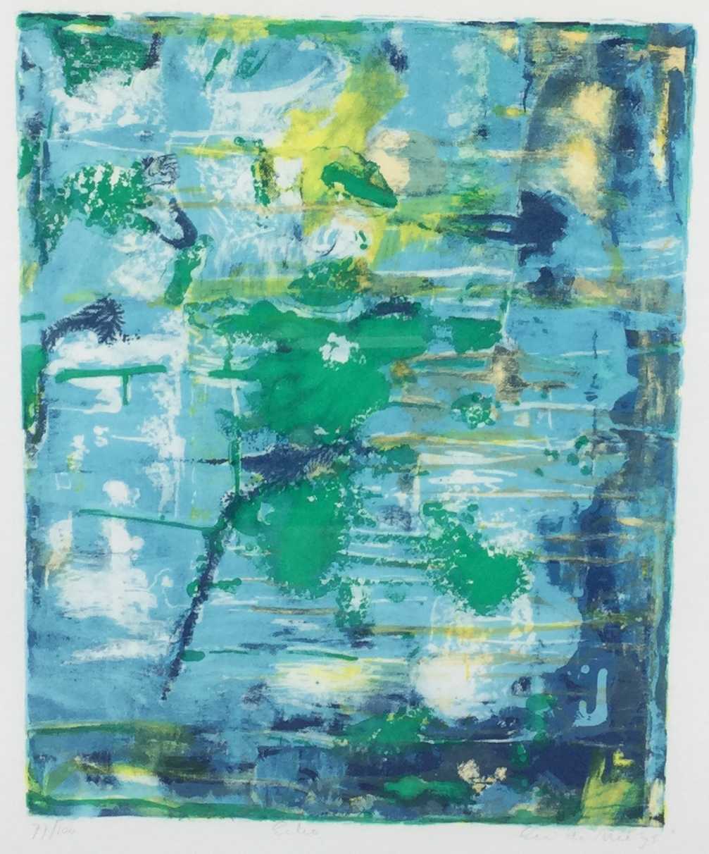 Eric de Nie - C2616-1, Echo  verkocht voor € 50!