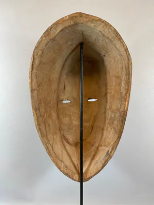 Igbo - African mask from the Igbo - Nigeria. kopen? Bied vanaf 45!