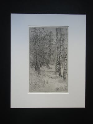 Charles Donker - BOS X kopen? Bied vanaf 160!