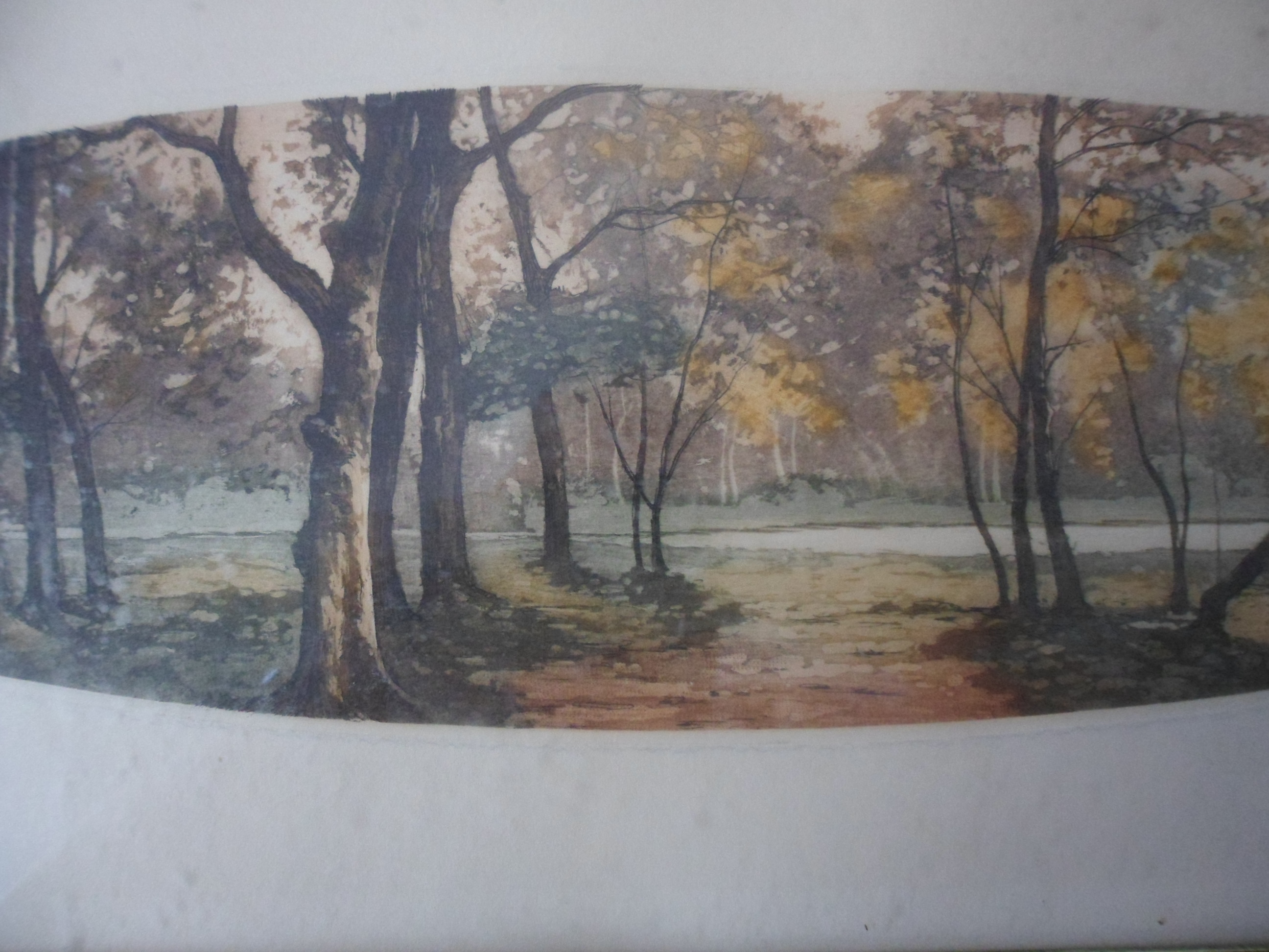 Niet of onleesbaar gesigneerd - Kleuren ets, Landschap kopen? Bied vanaf 1!