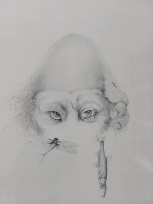 Robert Franken - A Fable kopen? Bied vanaf 20!