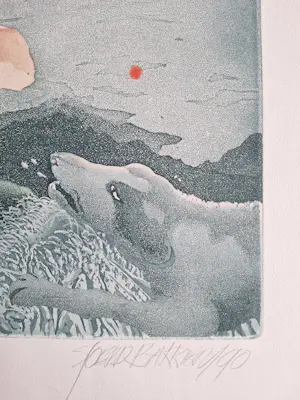 Sjoerd Bakker - Onbekend kopen? Bied vanaf 50!