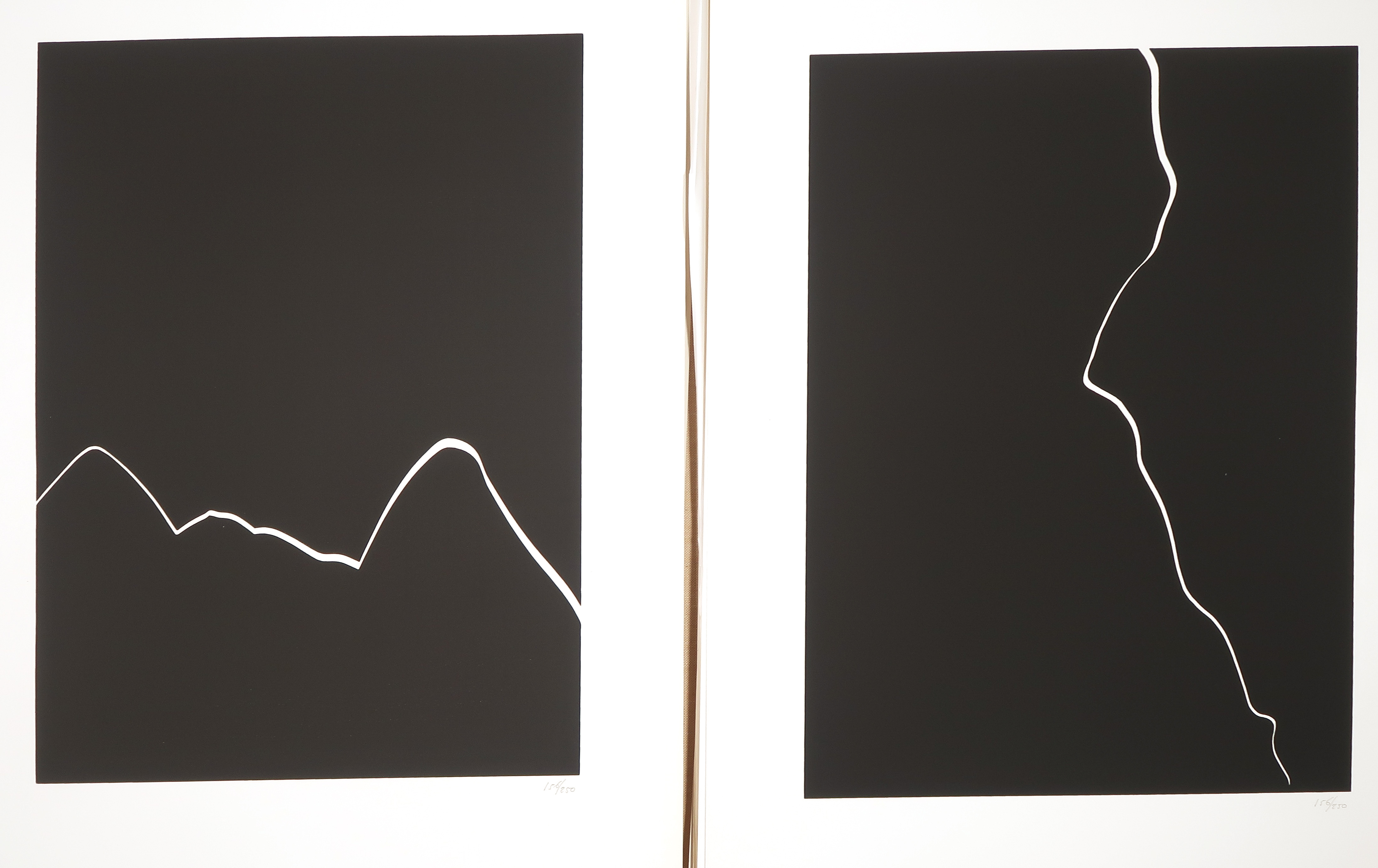 Harry van Kuyk - Grafinu, map met 24 zeefdrukken  kopen? Bied vanaf 180!