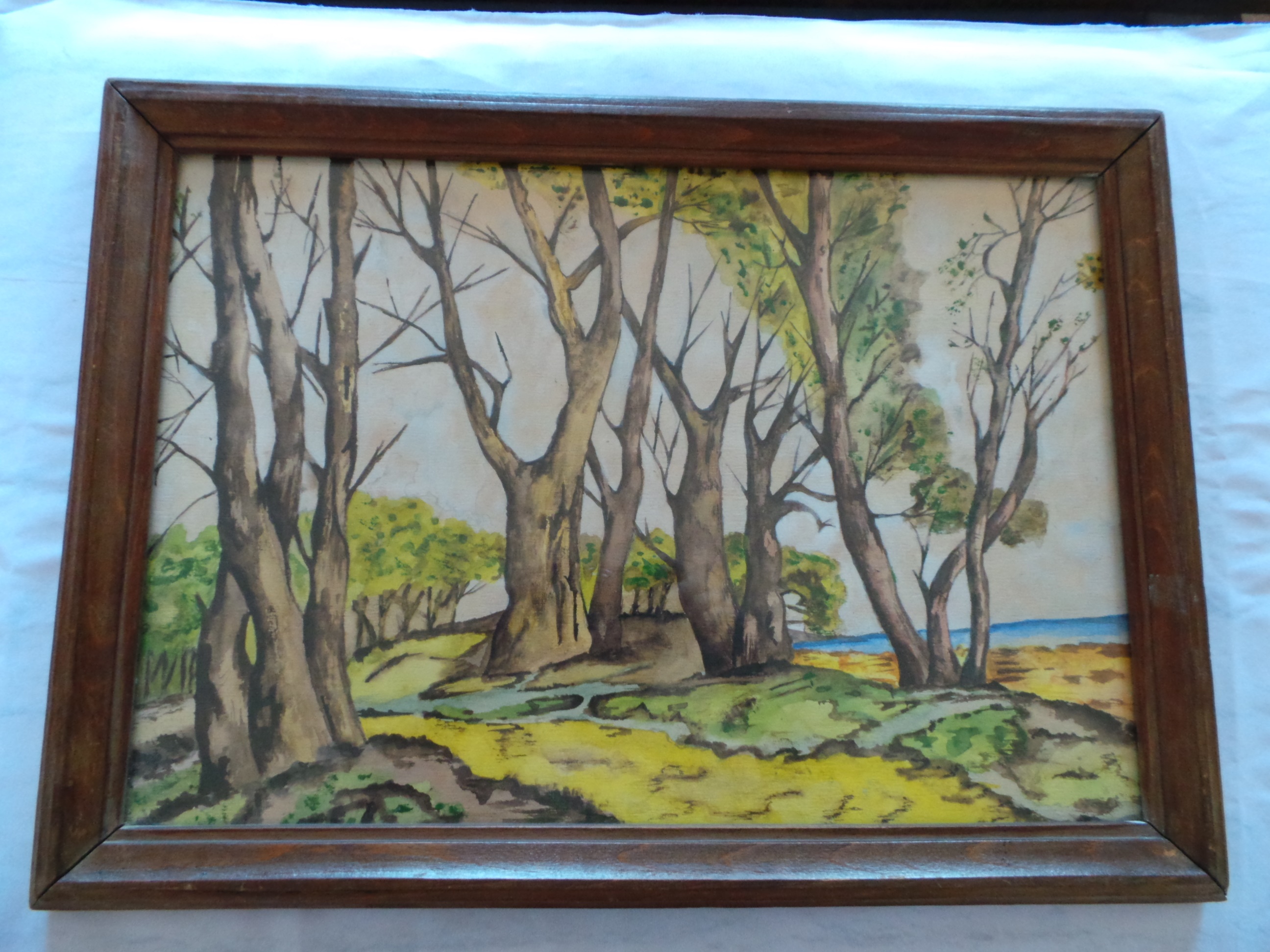 Niet of onleesbaar gesigneerd - Bosgezicht 20 eeuw kopen? Bied vanaf 1!