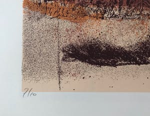 Wilfried Pas - Grote gesigneerde zeefdruk - 7/10 - Kleine oplage! - 1974 - Zelden aangeboden! kopen? Bied vanaf 55!