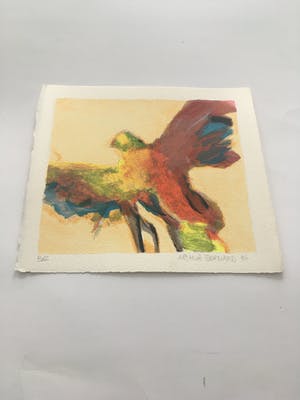 Arthur Bernard - Kleurenzeefdruk z.t. kopen? Bied vanaf 50!