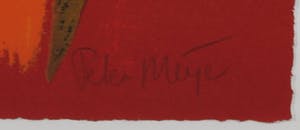 Peter Meijer - Zeefdruk, In het voorbij gaan - Ingelijst (Groot) kopen? Bied vanaf 50!