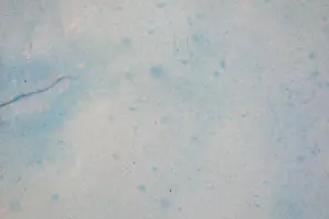 Victor Brugairolles - Molens in Zaandijk kopen? Bied vanaf 1!