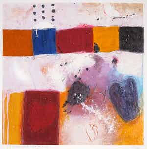 Alexander Vogels - Zeefdruk, Evolutions IV verkocht voor € 40!