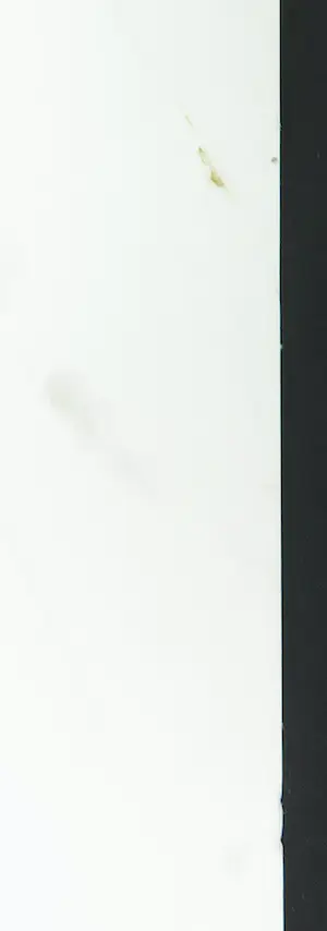 Sam Middleton - Zeefdruk, Zonder titel kopen? Bied vanaf 1!