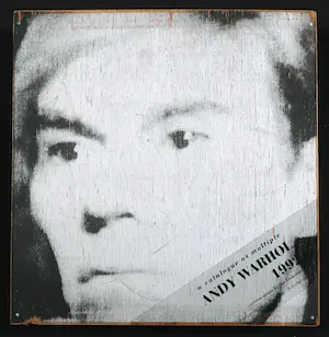 Nat Finkelstein - Andy Warhol - A catalogue as multiple (box) + een papieren About Andy tas kopen? Bied vanaf 1!