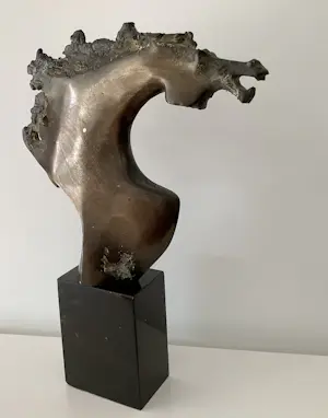 Doko Dokov - Paarden hoofd kopen? Bied vanaf 700!