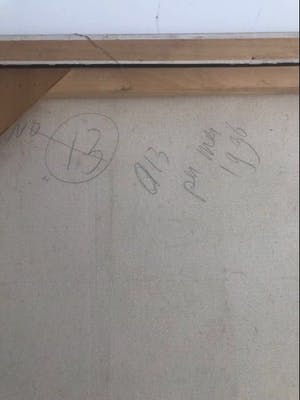 Frits van Eeden - Paard kopen? Bied vanaf 800!