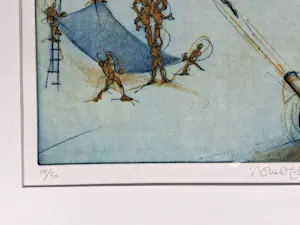 Ronald Tolman - Menselijke kanonskogel kopen? Bied vanaf 95!