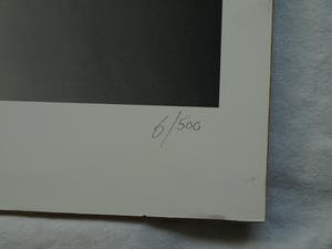 Niet of onleesbaar gesigneerd - Zwart-wit Foto , ‘Contact’ – gesigneerd - 61 x 46 cm. kopen? Bied vanaf 1!