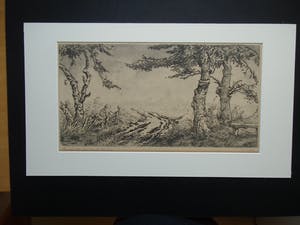 Toon de Jong - BASILIEK ST.JAN GEZIEN VANAF DE ENG kopen? Bied vanaf 65!