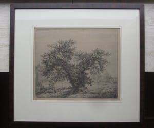 Jan Coenraad Nachenius - Ets verstild Veluwse landschap. kopen? Bied vanaf 75!